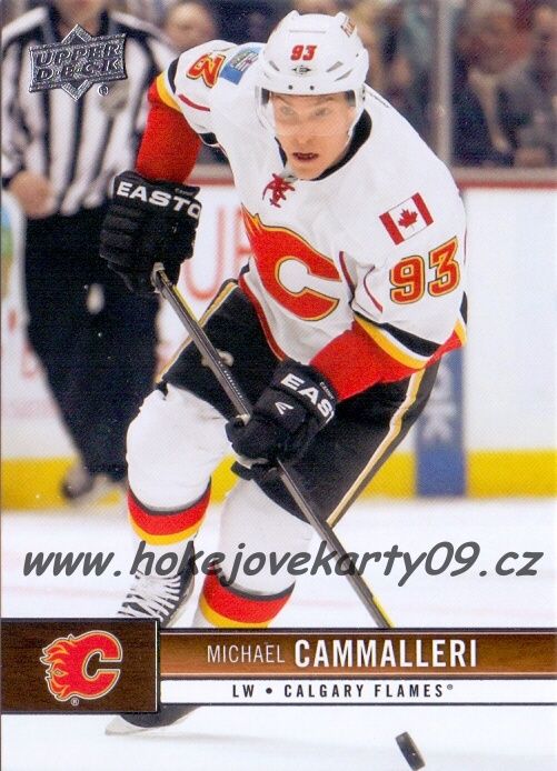2012-13 UD Series 1 - Michael CAMMALLERI č. 25