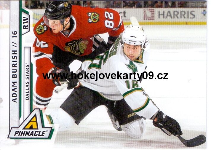 2010-11 Pinnacle - Adam BURISH č. 138