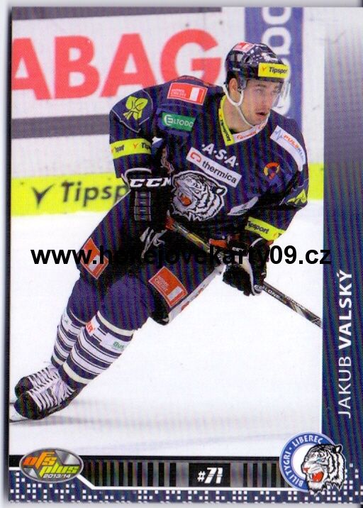 2013-14 OFS - Jakub VALSKÝ č. 025