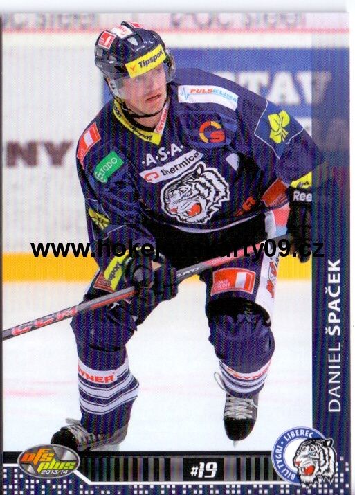 2013-14 OFS - Daniel ŠPAČEK č. 032