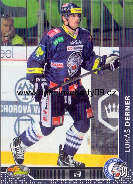 2013-14 OFS - Lukáš DERNER č. 039
