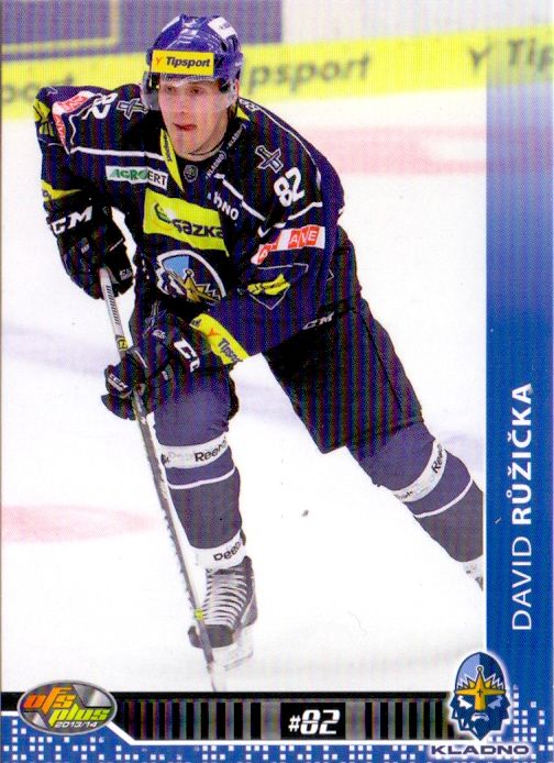 2013-14 OFS - David RŮŽIČKA č. 056
