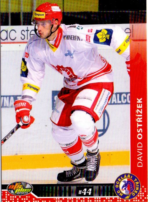 2013-14 OFS - David OSTŘÍŽEK č. 107