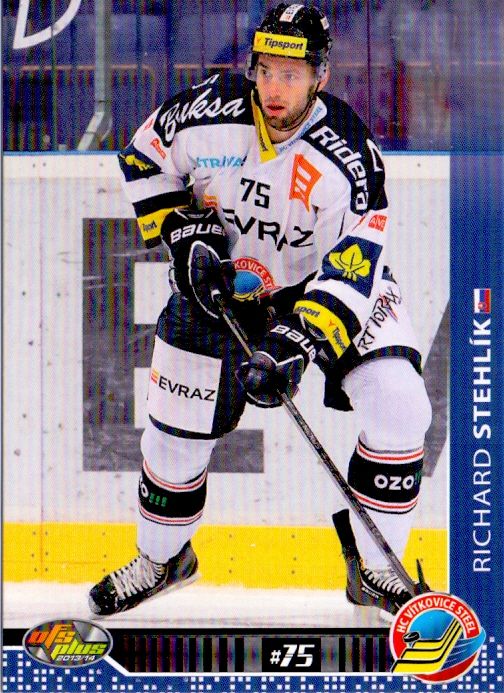 2013-14 OFS - Richard STEHLÍK č. 143