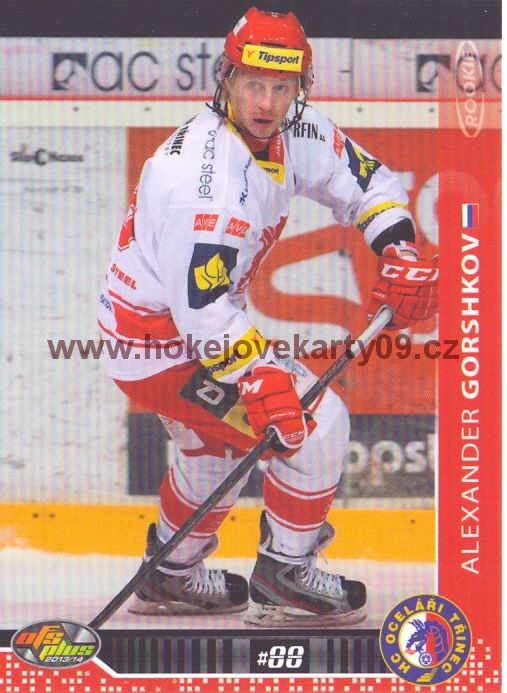 2013-14 OFS - Alexander GORSHKOV č. 104