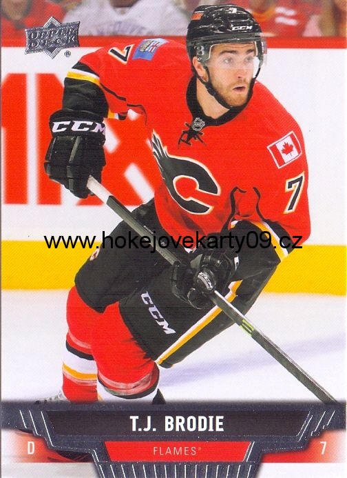 2013-14 Upper Deck - T.J. BRODIE č. 278