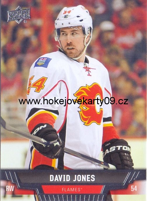 2013-14 Upper Deck - David JONES č. 279