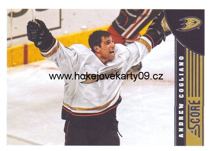2013-14 Score - Andrew COGLIANO č. 10