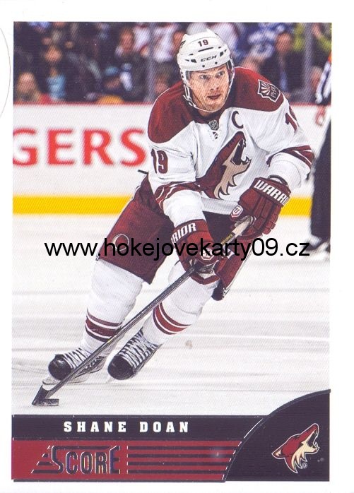 2013-14 Score - Shane DOAN č. 381