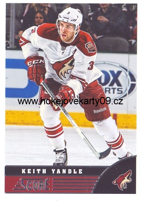 2013-14 Score - Keith YANDLE č. 382