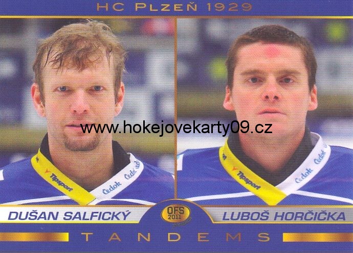 2011 Premium - Dušan SALFICKÝ/Luboš HORČIČKA č. TAND05
