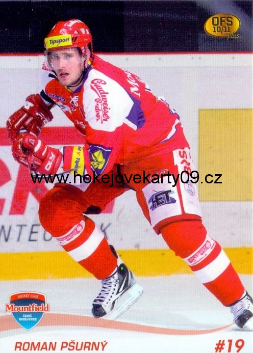2010-11 OFS - Roman PŠURNÝ č. 016
