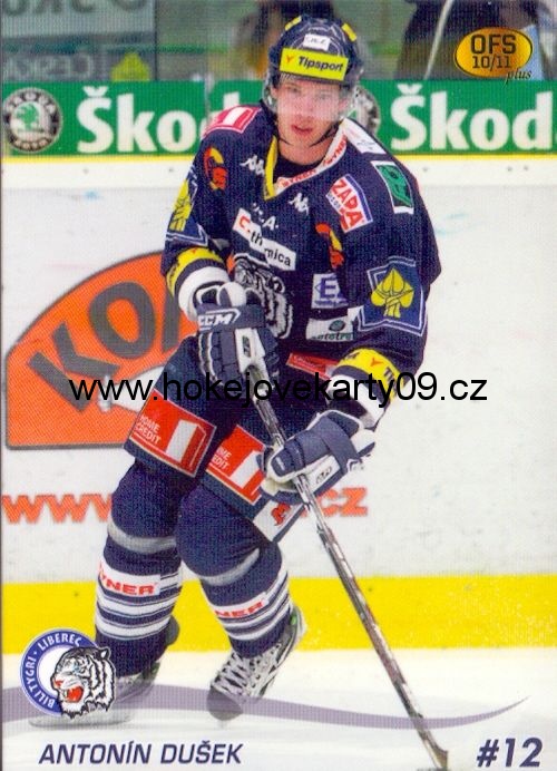 2010-11 OFS - Antonín DUŠEK č. 119