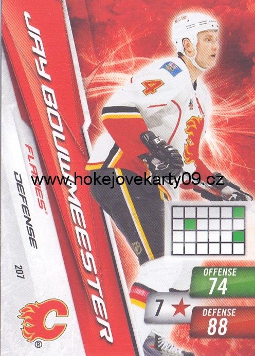 2010-11 Adrenalyn - Jay BOUWMEESTER č. 207