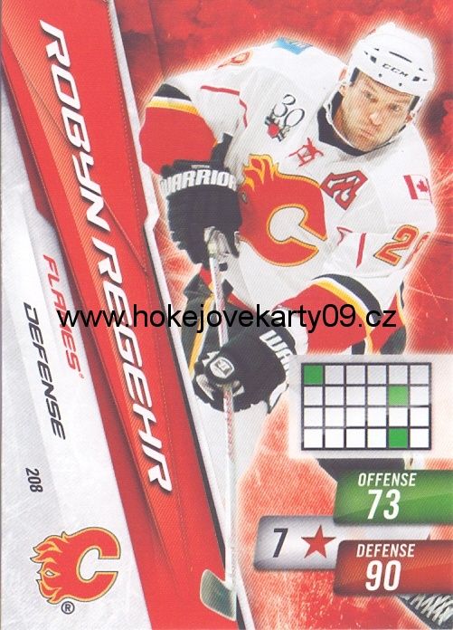 2010-11 Adrenalyn - Robyn REGEHR č. 208