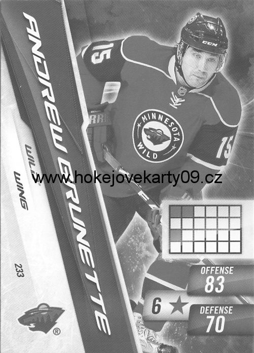 2010-11 Adrenalyn - Andrew BRUNETTE č. 233