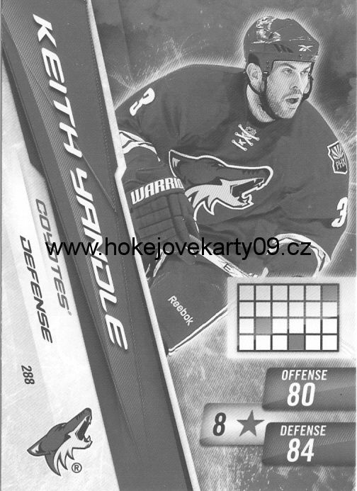 2010-11 Adrenalyn - Keith YANDLE č. 288