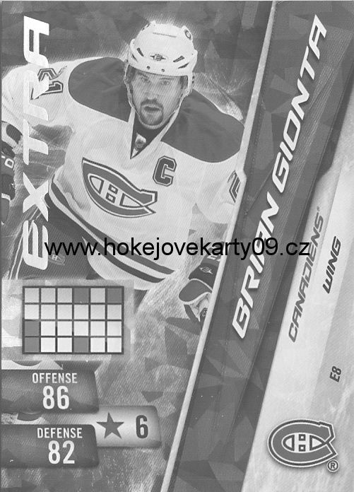 2010-11 Adrenalyn - Brian GIONTA č. E8