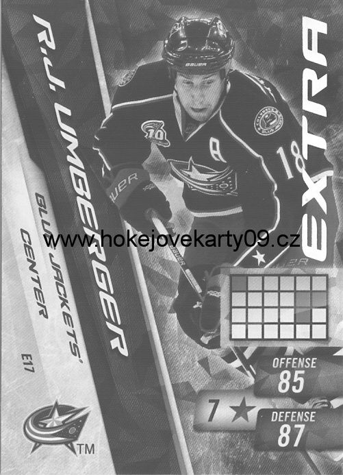 2010-11 Adrenalyn - R.J. UMBERGER č. E17