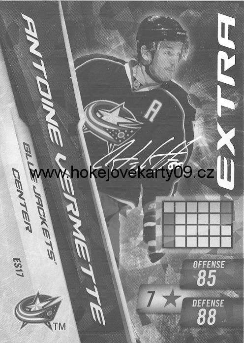 2010-11 Adrenalyn - Antoine VERMETTE č. ES17