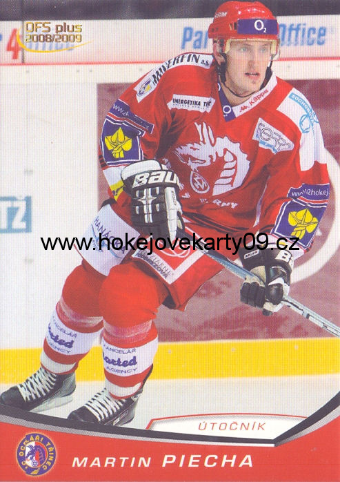 2008-09 OFS - Martin PIECHA č. 207