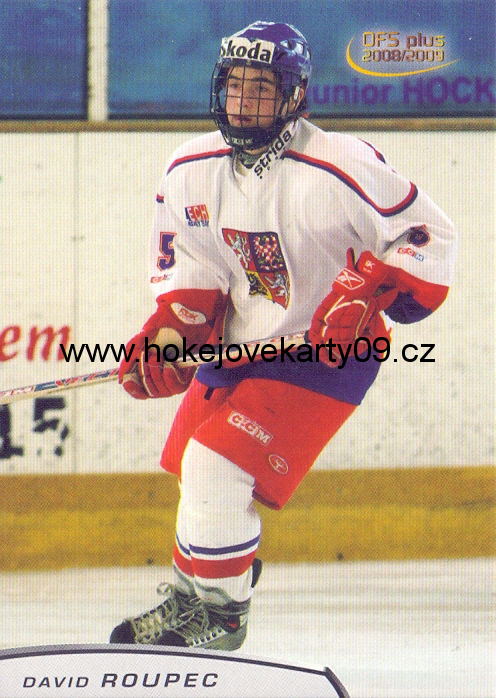 2008-09 OFS - David ROUPEC č. U17/05