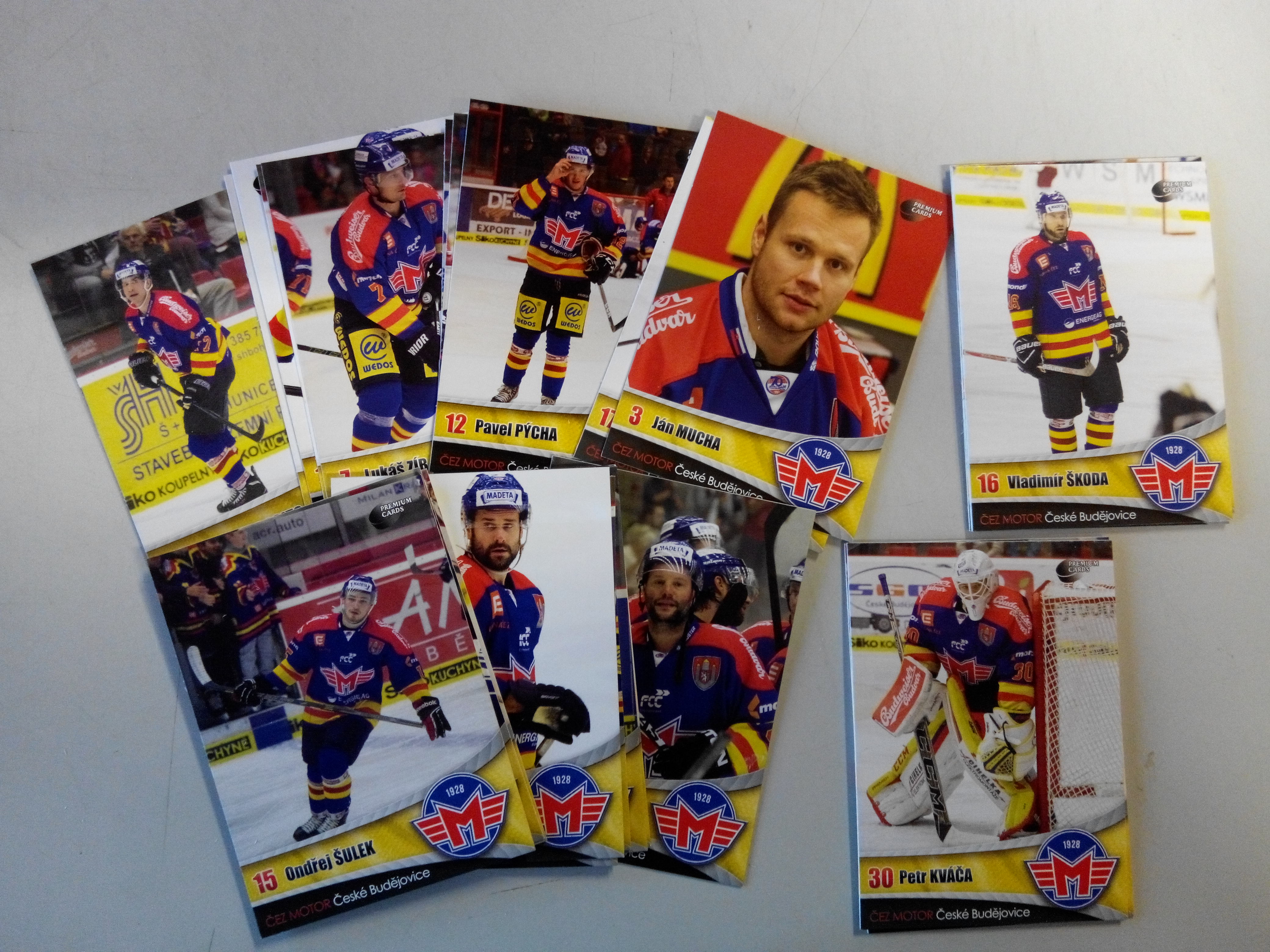 2016-17 ČEZ MOTOR České Budějovice Domácí set