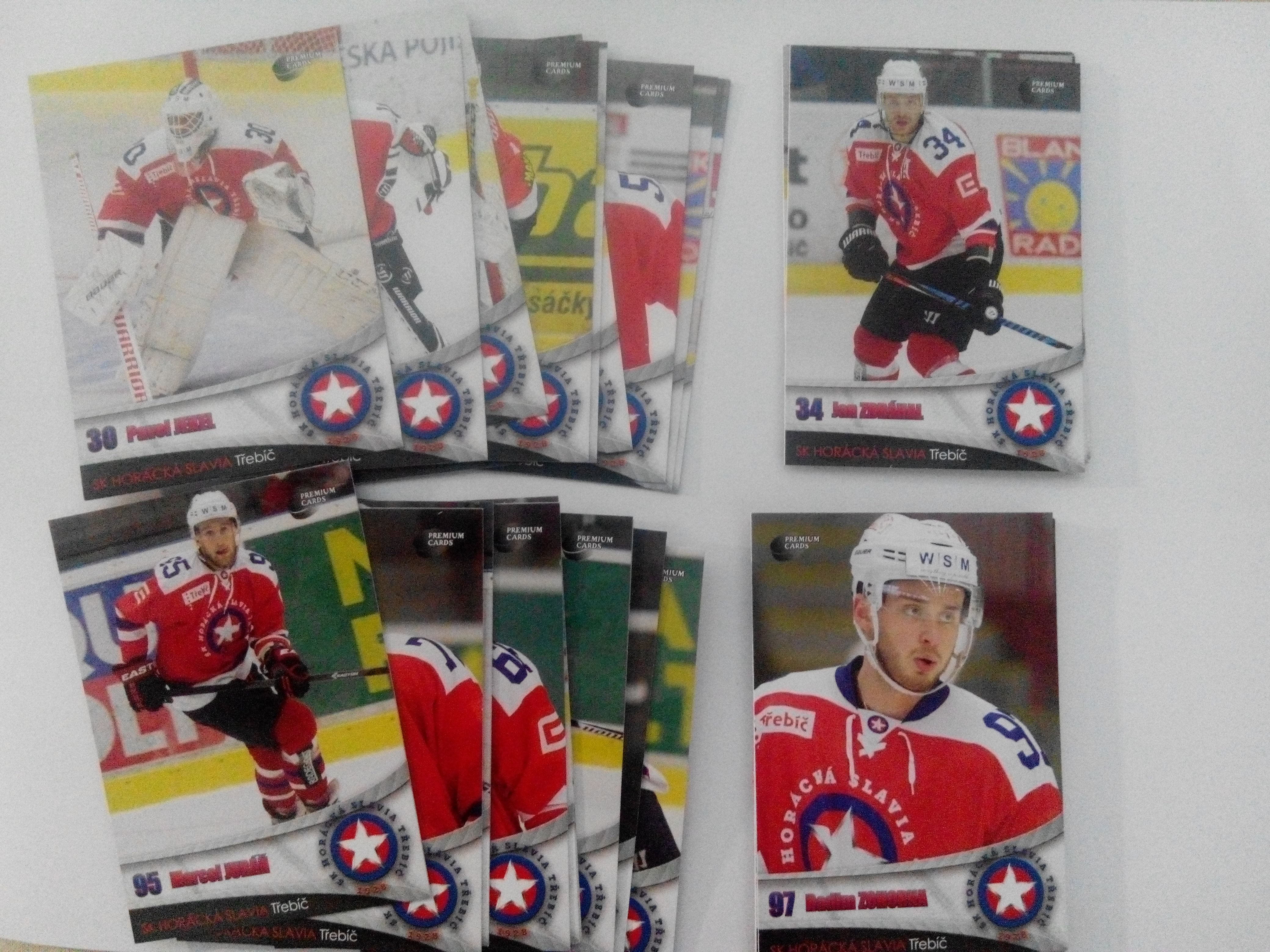 2016-17 SK Horácká Slavia TŘEBÍČ Domácí set
