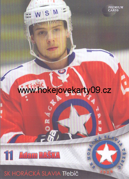 2016-17 Premium Cards - Adam RAŠKA č. 33
