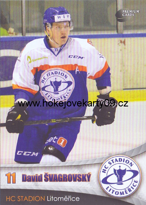 2016-17 Premium Cards - David ŠVAGROVSKÝ č. 21