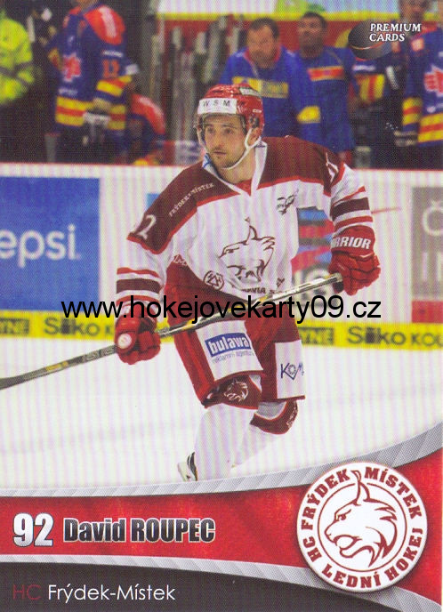 2016-17 Premium Cards - David ROUPEC č. 4