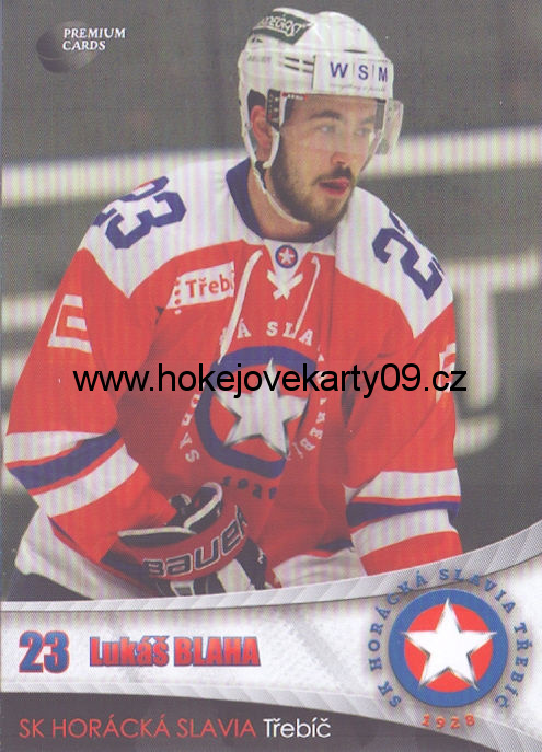 2016-17 Premium Cards - Lukáš BLAHA č. 25