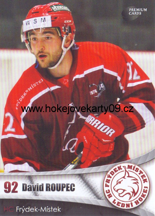 2016-17 Premium Cards - David ROUPEC č. 4