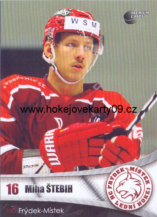 2016-17 Premium Cards - Miha ŠTEBIH č. 29