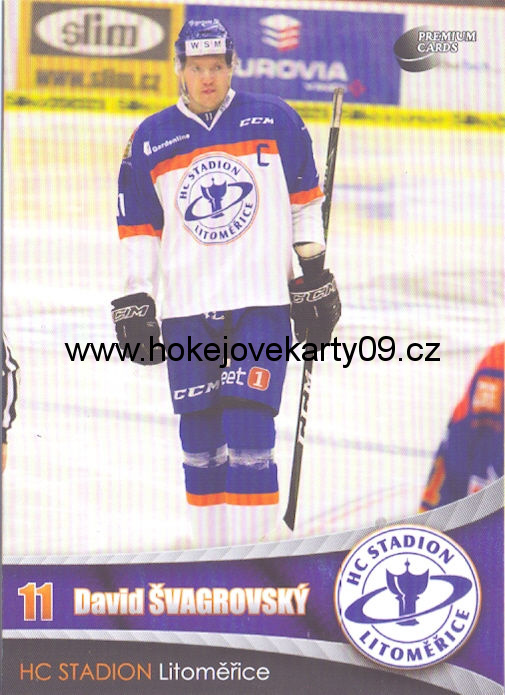 2016-17 Premium Cards - David ŠVAGROVSKÝ č. 21
