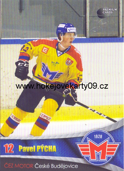 2016-17 Premium Cards - Pavel PÝCHA č. 7