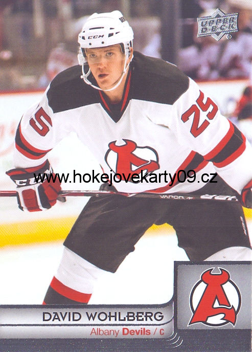 2013-14 AHL - David WOHLBERG č. 12