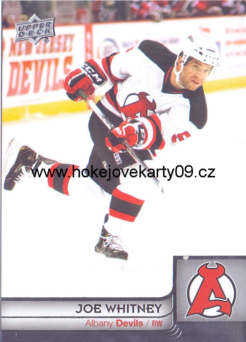 2013-14 AHL - Joe WHITNEY č. 13