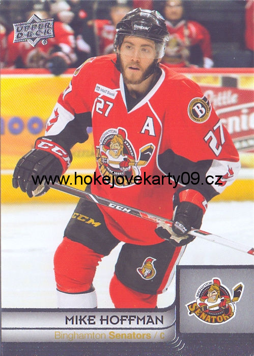 2013-14 AHL - Mike HOFFMAN č. 14