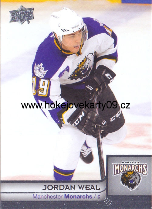 2013-14 AHL - Jordan WEAL č. 43