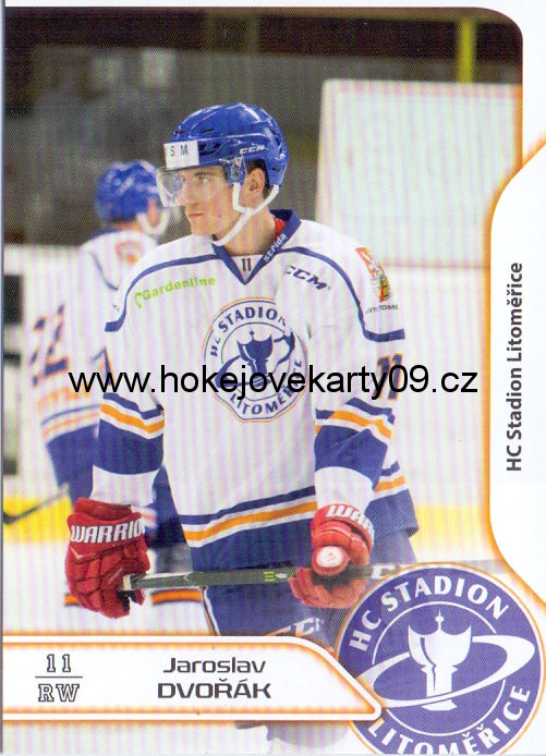 17-18 Premium Cards - Jaroslav DVOŘÁK č. 46