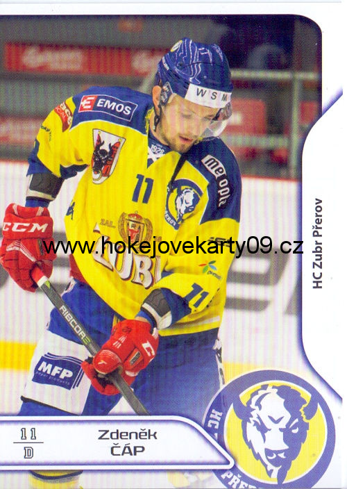 17-18 Premium Cards - Zdeněk ČÁP č. 83