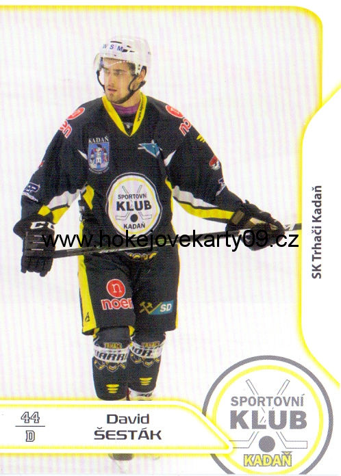 17-18 Premium Cards - David ŠESTÁK č. 105