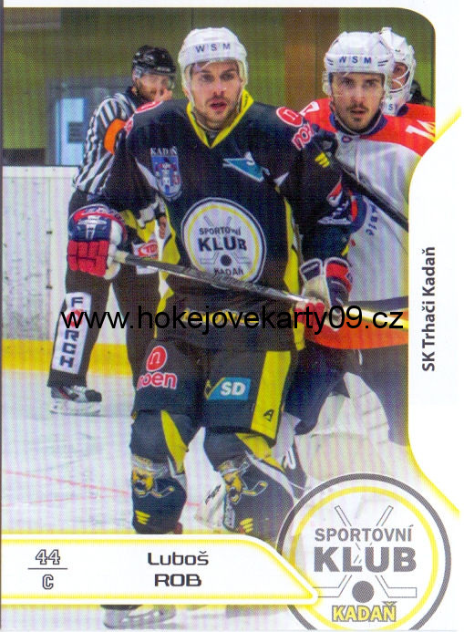17-18 Premium Cards - Luboš ROB č. 113