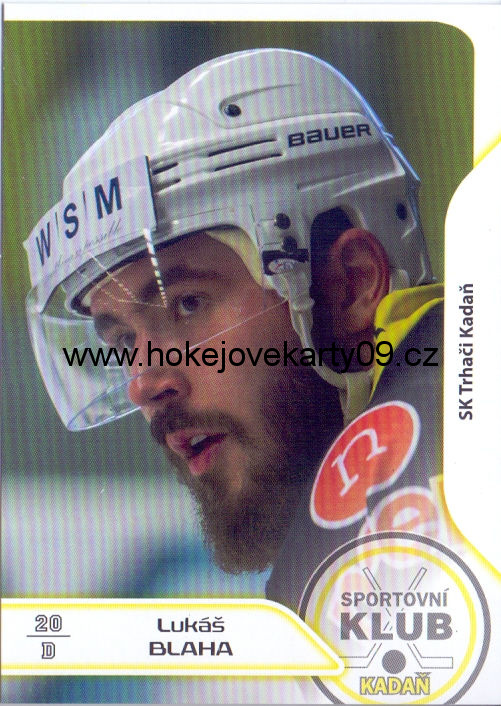 17-18 Premium Cards - Lukáš BLAHA č. 114