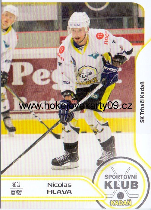 17-18 Premium Cards - Nicolas HLAVA č. 118
