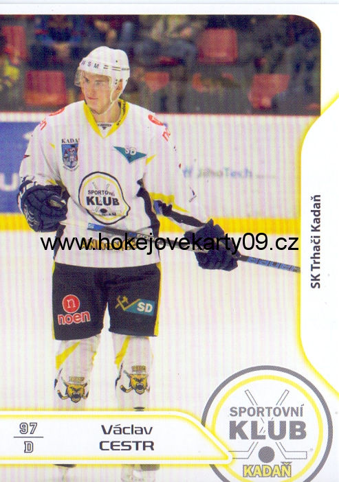 17-18 Premium Cards - Václav CESTR č. 125