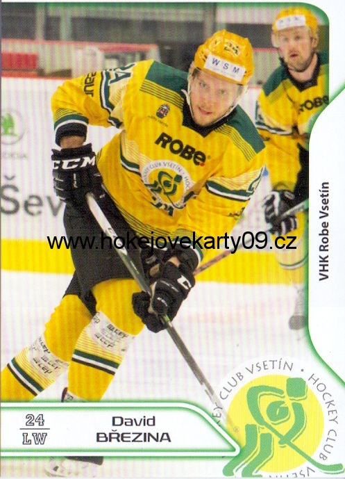 17-18 Premium Cards - David BŘEZINA č. 126