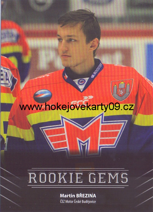 17-18 Premium Cards - Martin BŘEZINA č. RC04