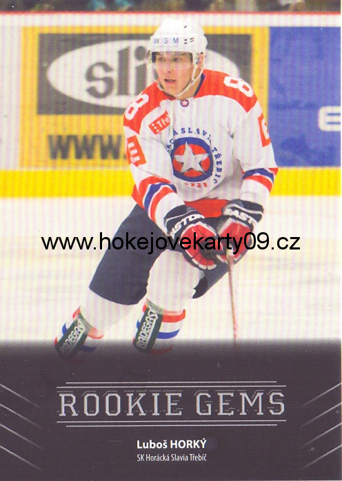 17-18 Premium Cards - Luboš HORKÝ č. RC07
